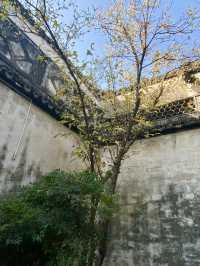 平湖，莫氏莊園