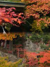 《小松&那谷寺：探秘日本隱世美景與溫泉之旅》