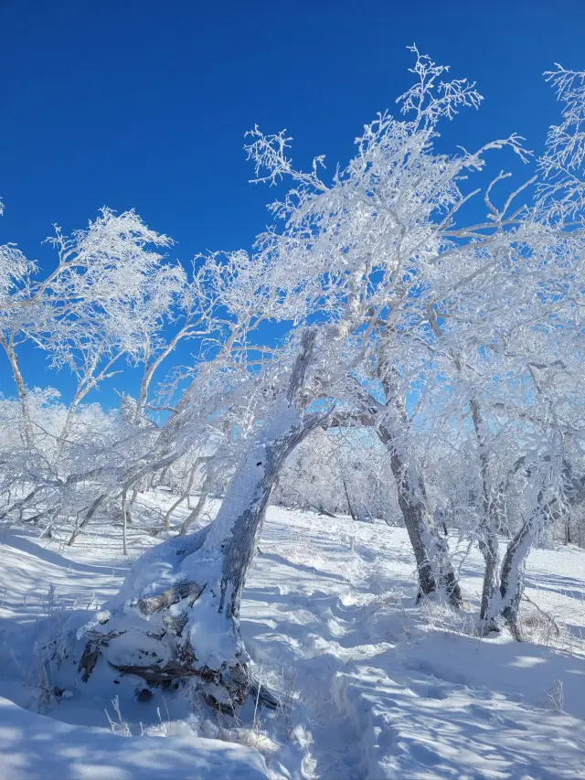 4日探秘桂林 古鎮古村等你來解鎖