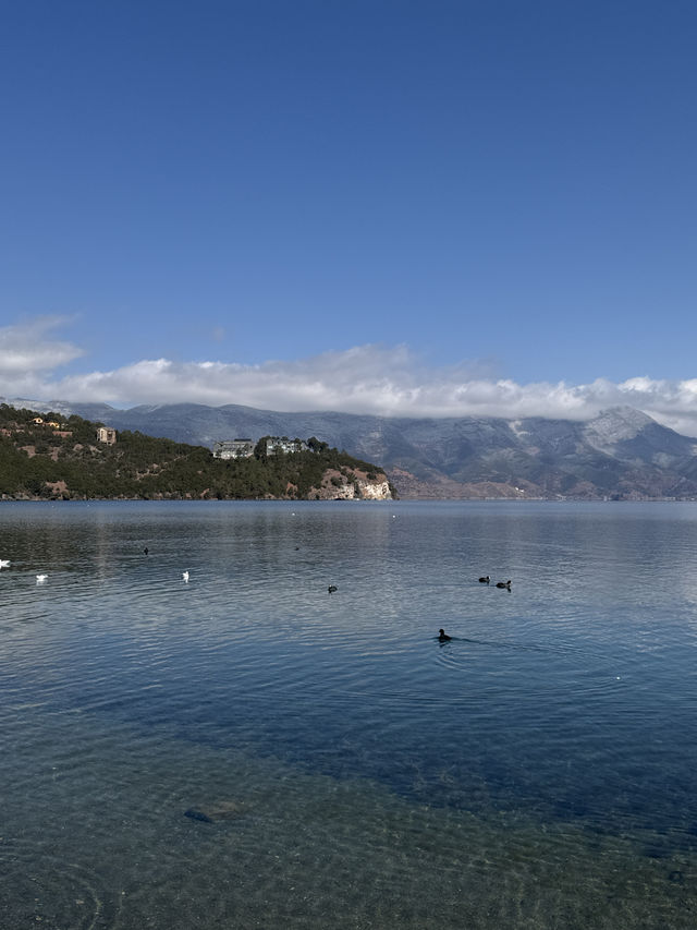 瀘沽湖旅遊時，以下是一些避雷建議：