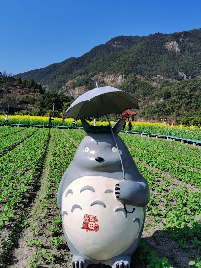 福州賞油菜花觀賞攻略