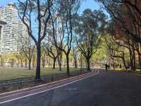 長壽公園重綻光彩，新設施亮點十足