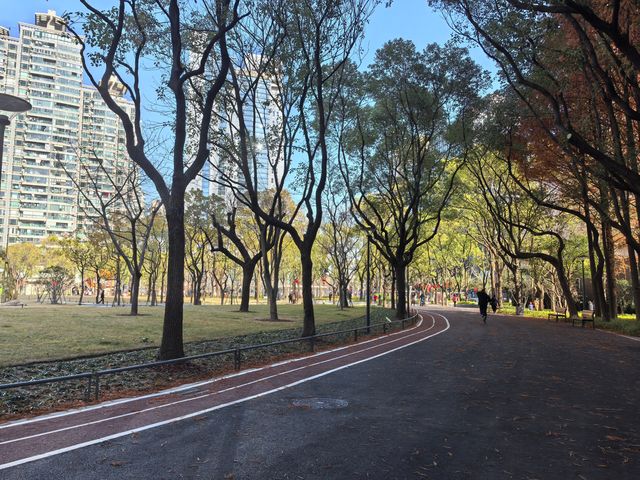 長壽公園重綻光彩，新設施亮點十足