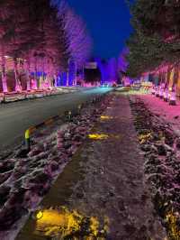 長春-長白山6日遊 帶你揭開神秘的東北雪域之旅