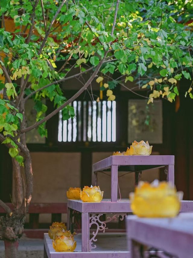 普救寺 | 唐風古剎裏藏着千年愛情密碼