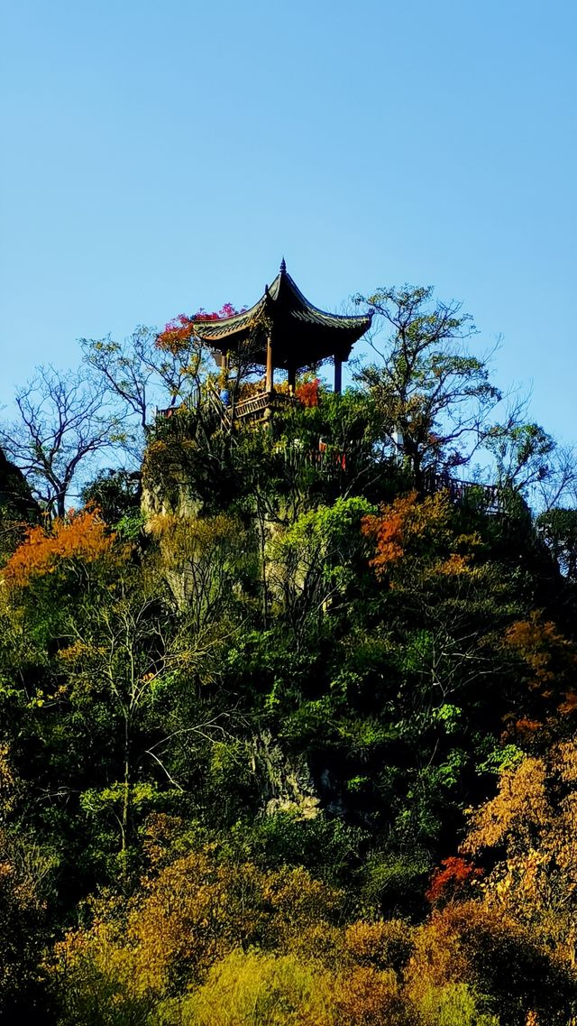 遇見不一樣的「花溪」！