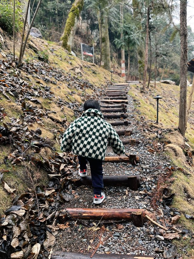 泰順2天1夜 邂逅詩意廊橋與山水咖啡