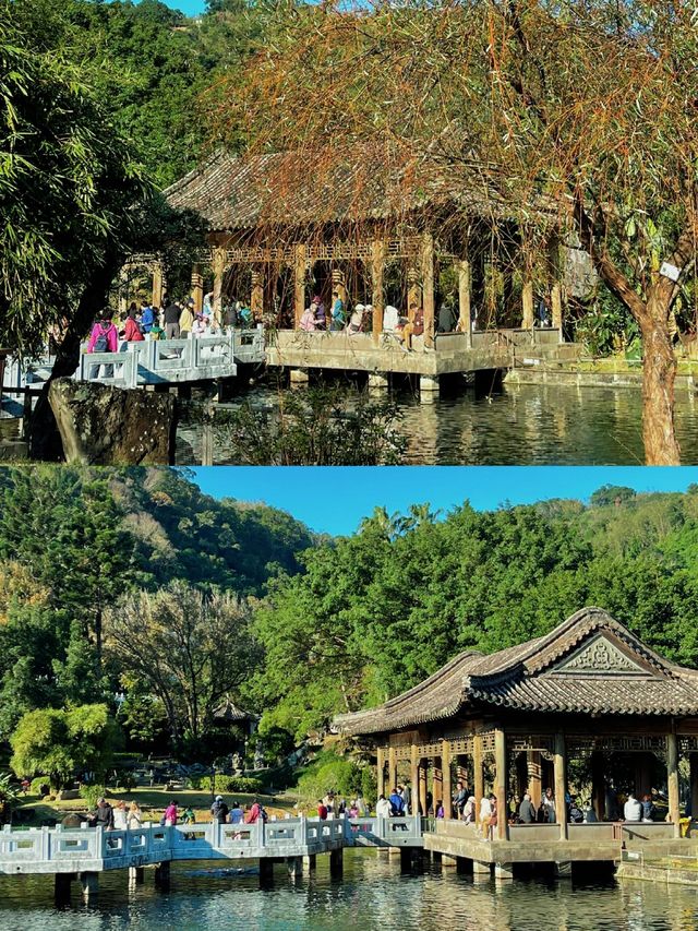 哇塞！台北故宮後花園竟有如此清幽靜謐好景色