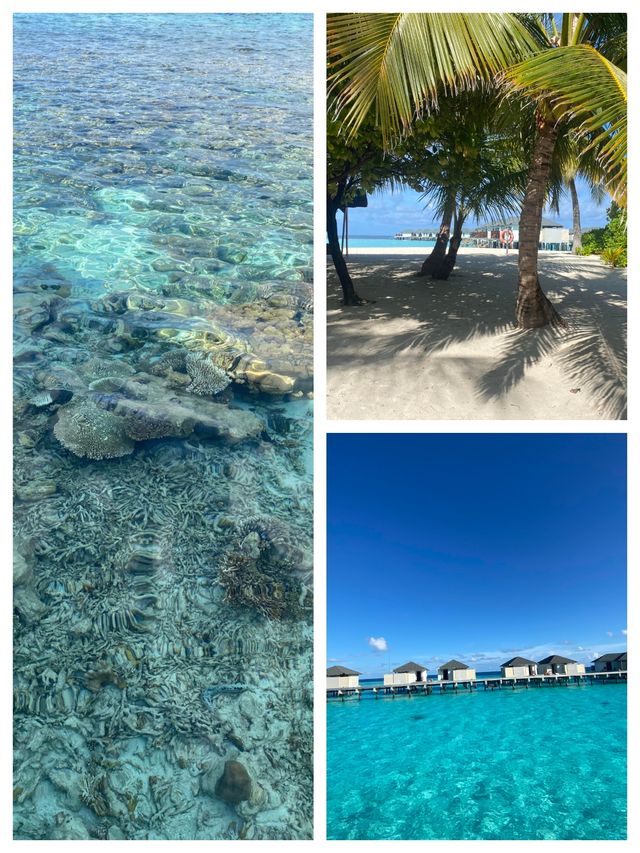 呼拉島：馬爾代夫的海上明珠