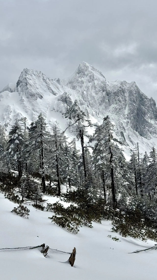 感受怒江孔雀山嘅冬日美景