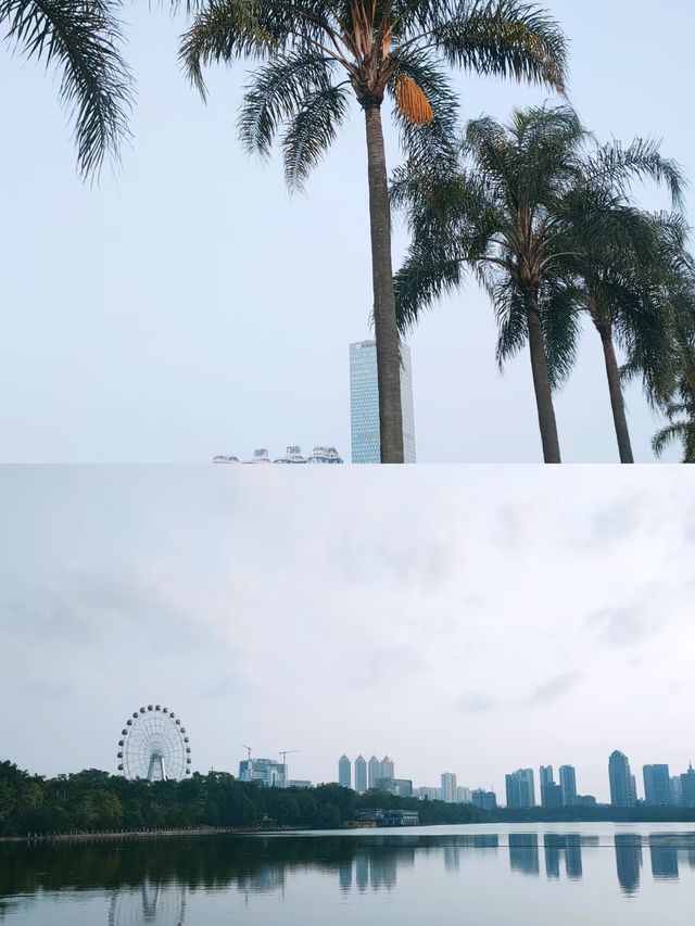 南寧南湖公園，邂逅自然之美