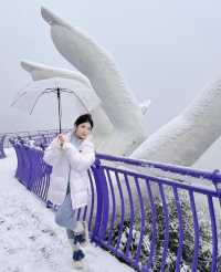 萬畝櫻花田，配上雪景真美了