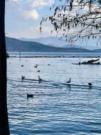 走進昆明-大理-麗江 古鎮裡的迷人風情 動人心弦的旅行攻略