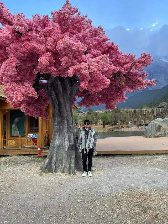 Lijiang, Dali, Lugu Lake | 7 Days and 6 Nights in Northwest Yunnan