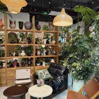 🌸深圳新發現！藏在街角的浪漫花漾咖啡屋🌸
