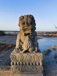 盧溝橋上501隻石獅的秘密，你知道幾多個？