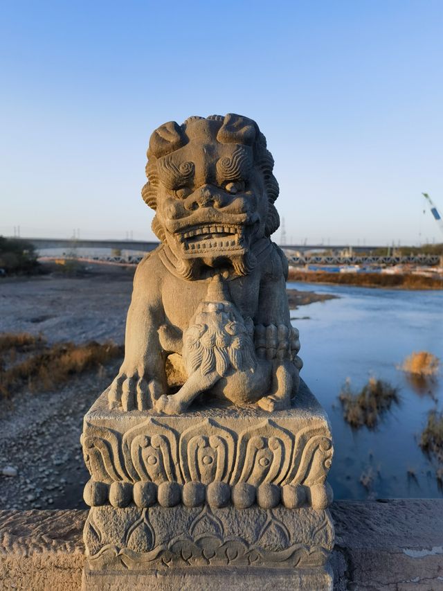 盧溝橋上501隻石獅的秘密，你知道幾多個？