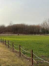 鍾意西安每個有陽光嘅日子