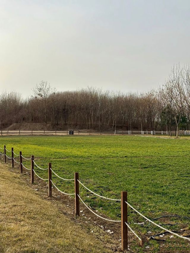 鍾意西安每個有陽光嘅日子 鍾意西安每個有陽光嘅日子