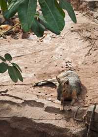 廣州動物園20元的快樂
