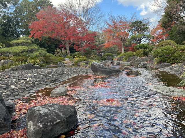 🍁大阪賞楓 | 大仙公園的秋日浪漫🍁