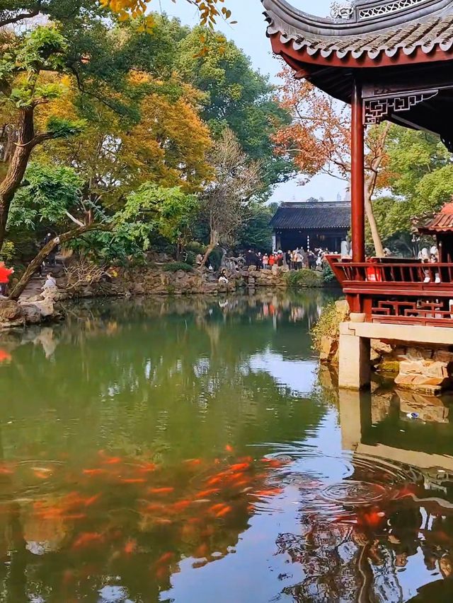 梁溪春日浪漫一日遊