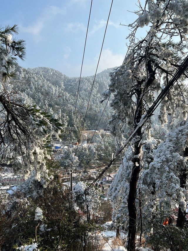 清明節小長假 廬山3天遊全攻略
