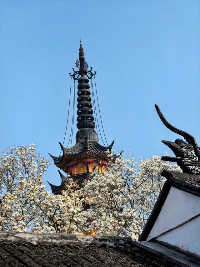 玉蘭映雙塔，春色落滿園。