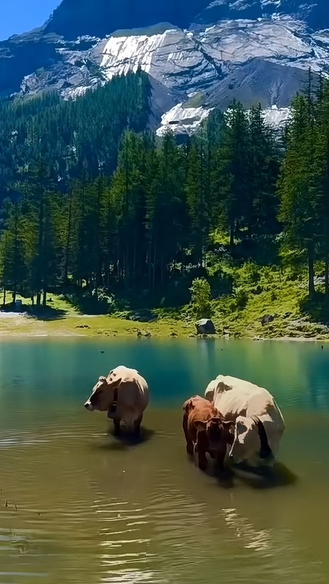 厄希嫩湖美景隨拍