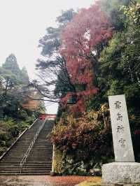 別再只知道京都神社！霧島神宮，藏在鹿兒島的國寶級秘境