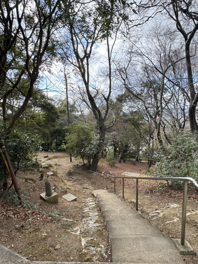 遠敷神社：奈良的隱藏瑰寶⛩️🌸