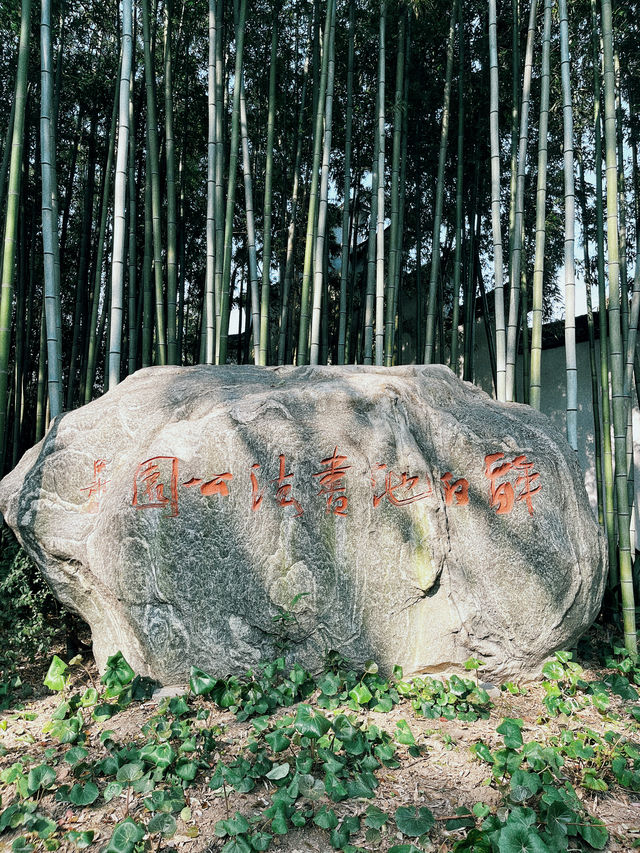 醉白池—松江小眾探尋春季之旅