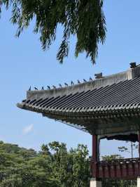 小長假去韓國5日遊攻略來啦