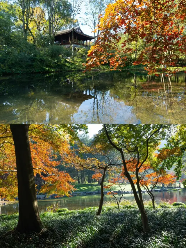 A 4-Day Getaway to Jiaxing, Hangzhou, and Suzhou: The Ultimate Itinerary