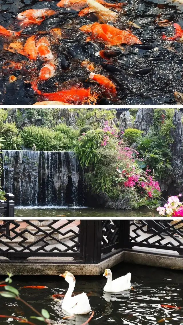 [Beautiful Guangzhou 8 | Yuyin Garden]