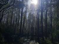 To be Alone with Nature