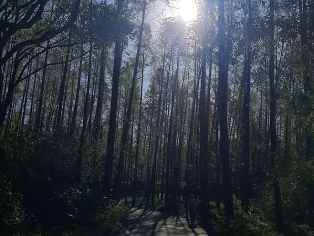 To be Alone with Nature