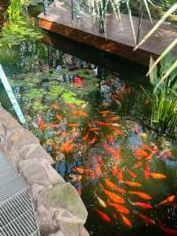 太原植物園｜週末好去處
