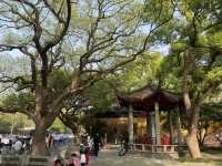 西湖風景名勝區遊玩攻略