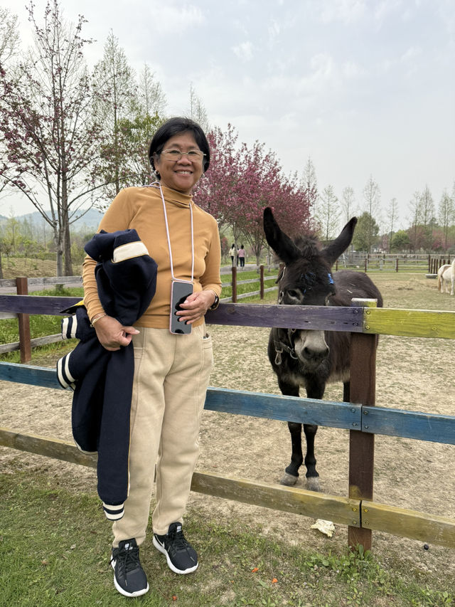 Afternoon @ Nanshan Ranch