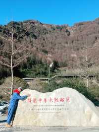 Panda Base Volunteer Experience - Mountain Day Tour 
