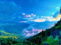 嘩塞！阿里山國家森林遊樂區，森林控必去的夢幻打卡地