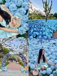 🌊珠海 | 城市客廳，免費美拍聖地必須衝！