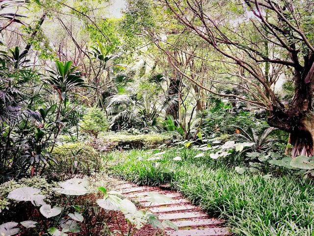 Guilin Botanical Garden: A Verdant Paradise