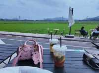 ✨中山隱藏版田園咖啡秘境！偽出國感直接拉滿☕️