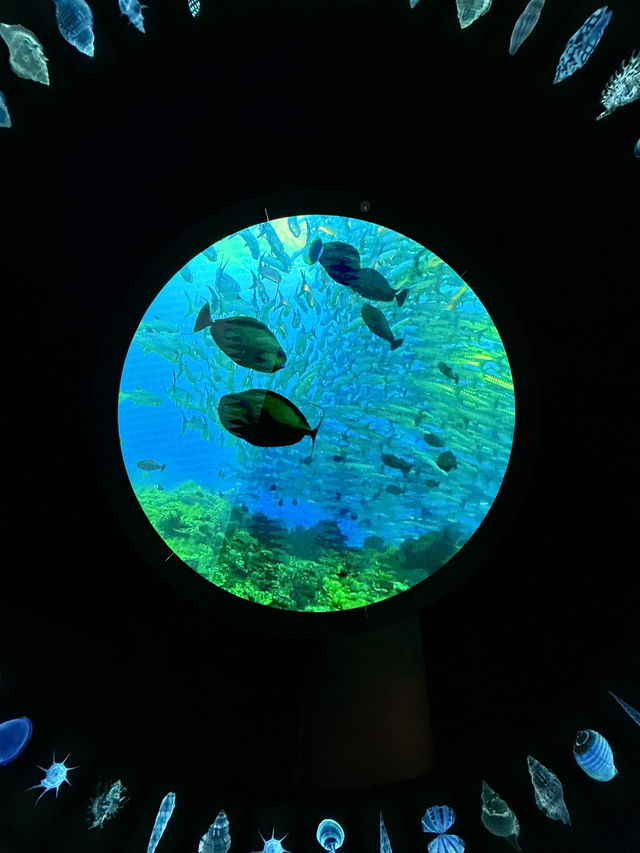 人生建議：一定要來趟國家海洋博物館‼️