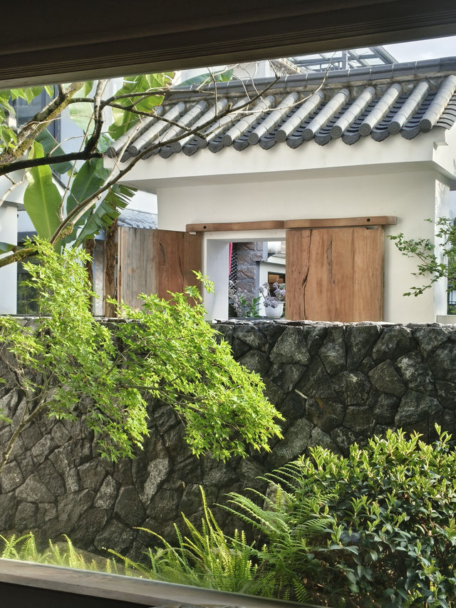在福建武夷山住到了一間超棒的民宿！