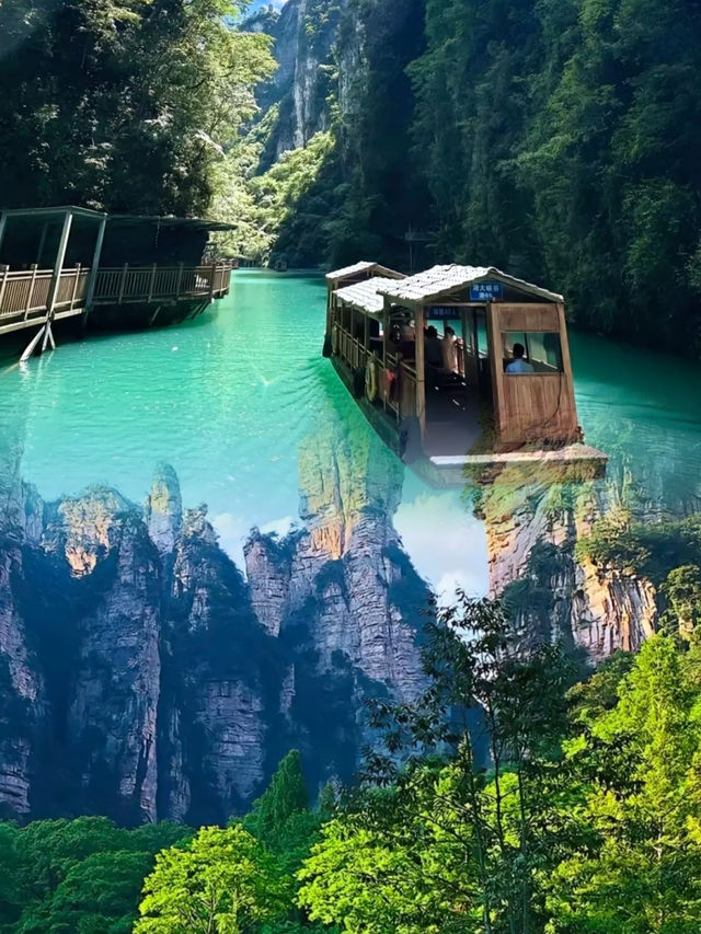 去張家界⑧次後熬夜整理的超全旅遊攻略