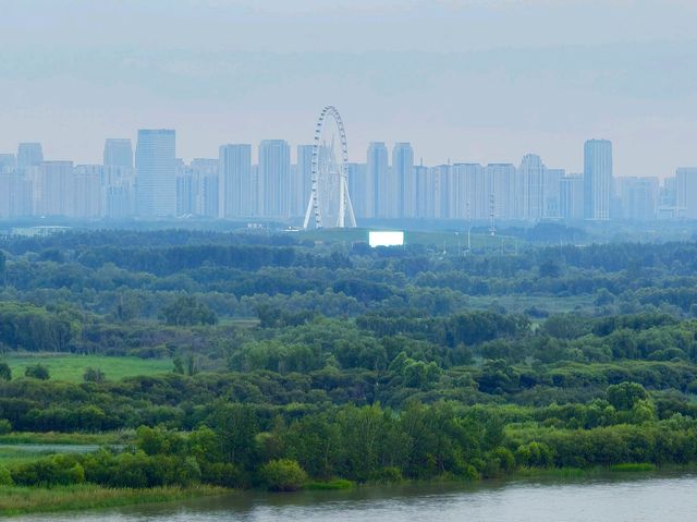 OMG, Harbin Has THIS? How did I not know about it before?