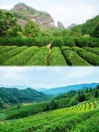 武夷山旅遊｜2天1晚保姆級攻略